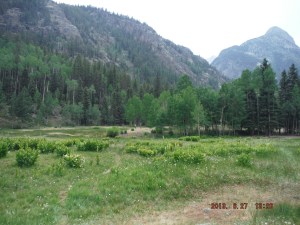 06-27 The trail up to Elk Creek we are camping in the trees up ahead on the right