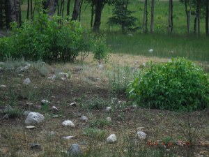 06-28 and 29 We left up the trail the morning of the 29th. I was still short of breath after a little hiking and kept thinking it was out condition and overweight both applied. turns out I developed Altitude Sickness. 