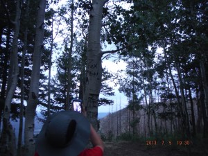 07-05 We drove up to the top of Escudilla Mountain 10,000 ft - no breathing problems. Anthony found where we had carved Pruiett and Fox on a tree a few years ago with Michael and Raven.