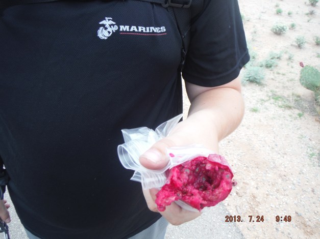 07-24 So we tried some either we are really tired and hungry or they actually tasted good. the darns tiny thorns keep sticking in your fingers and you can hardly see um. 