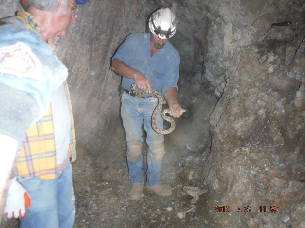 07-27 below another air shaft to the surface a snake has been living down here for a couple of years. It feeds on what ever falls down from above.